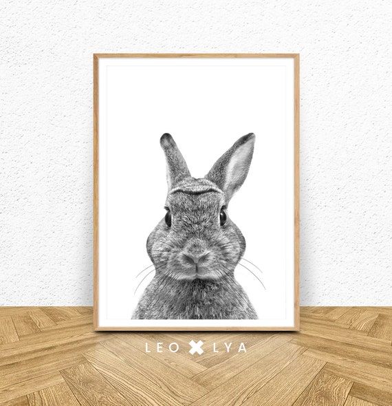 Photo Lapin Lapin Noir Et Blanc Chambre Bebe Decoration Etsy Photo Lapin Lapin Noir Et Blanc Chambre Bebe Decoration Etsy