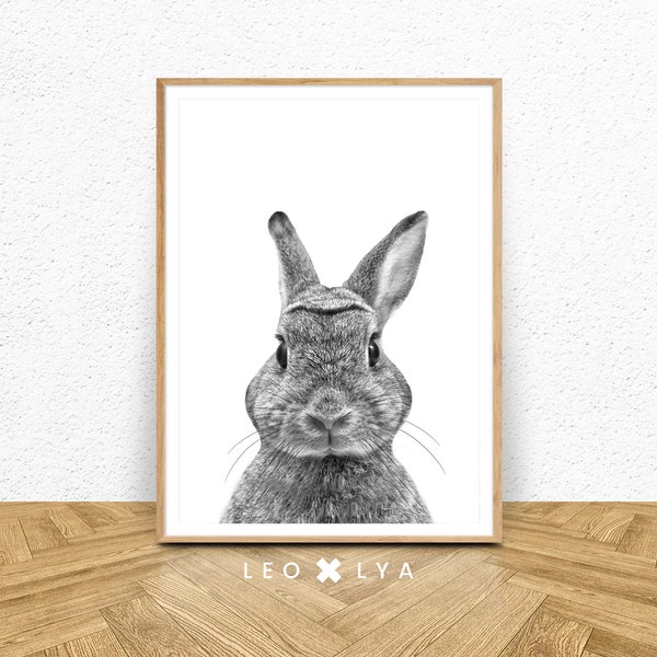 Black And White Rabbit Print, woodlands animals, bunny print, rabbit photo, animal photography, nursery decor, nursery prints, wall art