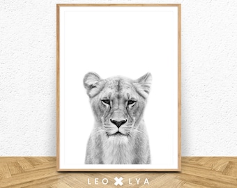 Animal Print, Lioness Photography, Safari Nursery Animal Print, Lion Digital Print, African Animal Wall Art, Instant Digital Download