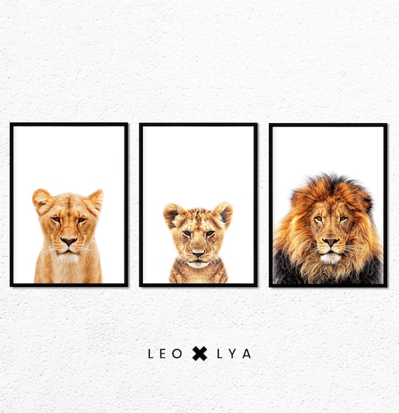 Photo Lion, photo Lionne et photo Lionceau, Poster Safari, Animal Afrique, Poster Lion, Déco Chambre Enfant, Tableaux Animaux Safari