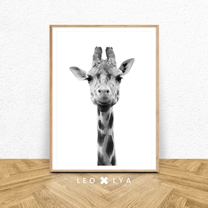 Safari Nursery, Giraffe Animal Print, Boys Room Wall Art, Kids Large Printable Poster, Safari Baby Shower, African Animal, Black and White