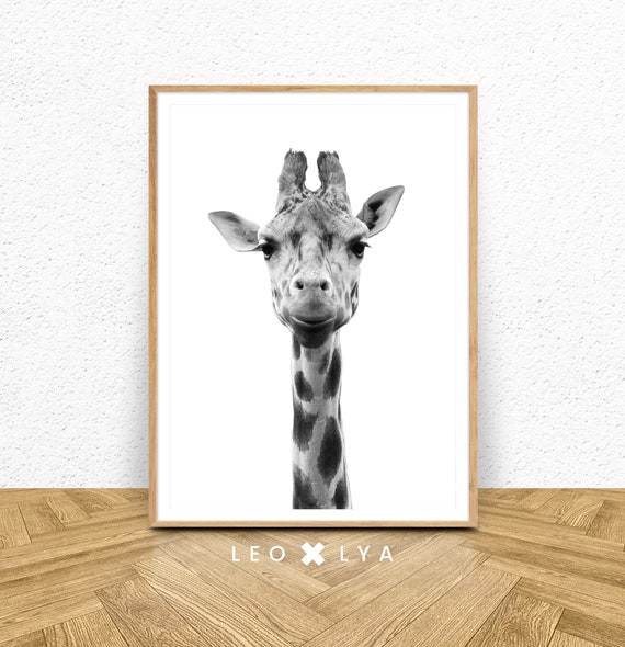Tableau Girafe noir et blanc - Affiche animaux