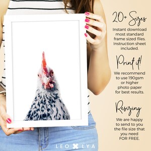 May include: A white framed print of a black and white chicken with a red comb and wattle. The chicken is looking directly at the camera. The print is being held by a person. The text "LEO x LYA" is at the bottom of the print.
