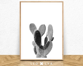 Foto de cactus en blanco y negro, póster de planta con impresión digital, decoración moderna, póster minimalista, foto de naturaleza, blanco y negro, arte de pared