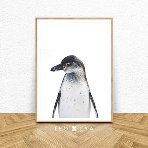 Penguin Print, Nursery Wall Art, Colour Nordic Animal, Printable Decor, Baby Shower Gift, Digital Download, Kids Room Gift