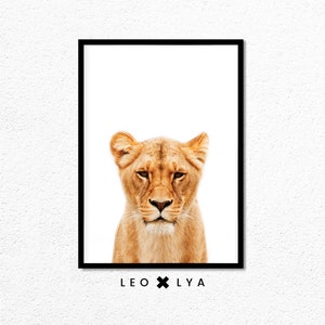 May include: A close-up portrait of a lioness with a white background. The lioness has a serious expression and her fur is a light brown color. The image is framed with a black border and the text "LEO x LY A" is printed below the image.