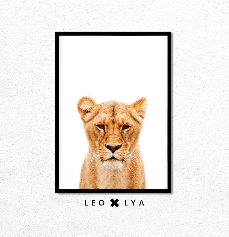 May include: A close-up portrait of a lioness with a white background. The lioness has a serious expression and her fur is a light brown color. The image is framed with a black border and the text "LEO x LY A" is printed below the image.