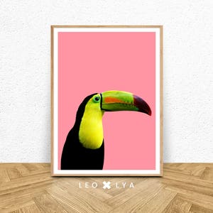 Bird Print, Tropical Parrot Wall Art, Toucan Bird, Tropical Decor, Printable Art, Colourful Bright, Pink Black Yellow, Bird Photography