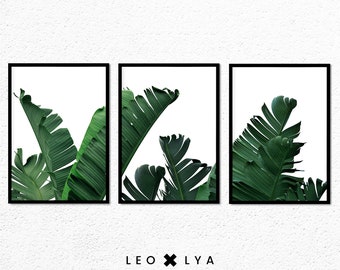 Foto de hoja de plátano, conjunto de 3 fotos, hojas verdes, decoración tropical, pintura de naturaleza, póster de hojas tropicales