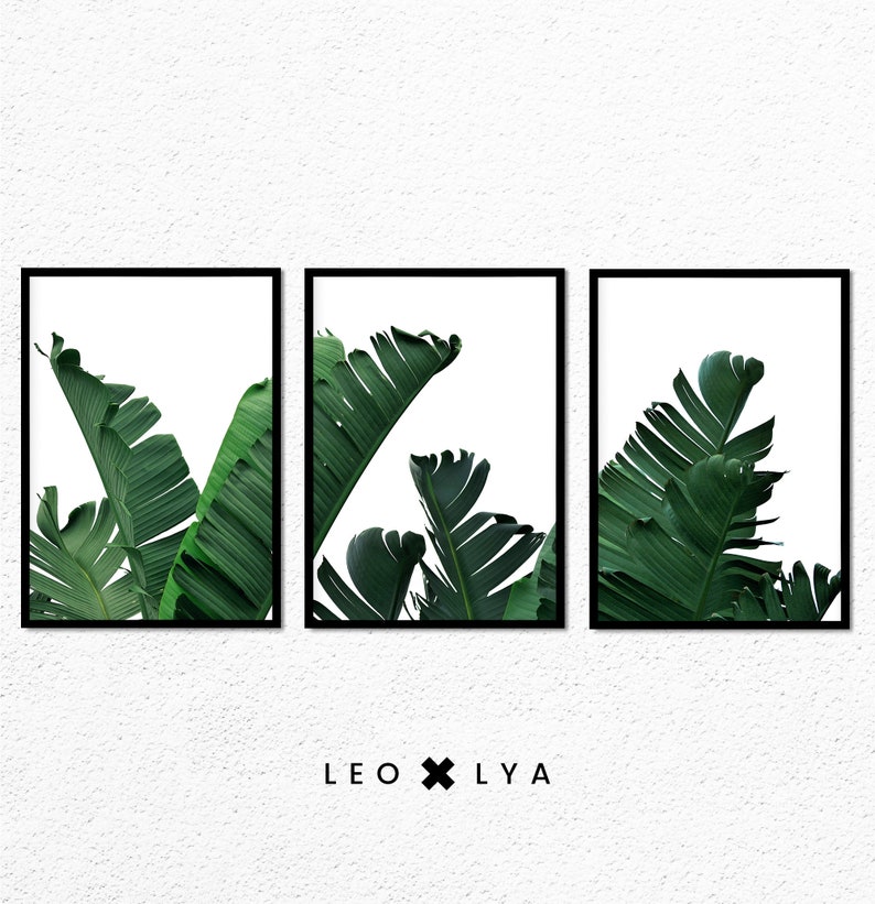 Banana Leaves Prints, Set of 3 Prints, Botanical Print Set, Tropical Wall Art Decor, Leaf Printable Art, Plant Photography, Green Leaves image 1