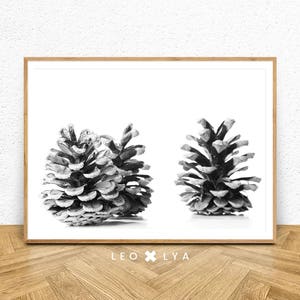 Pine Cone Print, Scandinavian Wall Art, Nature Decor, Pine Tree Print, Modern Minimalist, Nordic Print, Pine Cones Poster, Digital Download