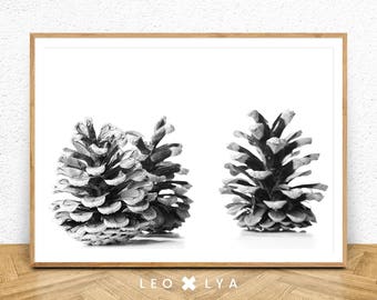 Pine Cone Print, Scandinavian Wall Art, Nature Decor, Pine Tree Print, Modern Minimalist, Nordic Print, Pine Cones Poster, Digital Download