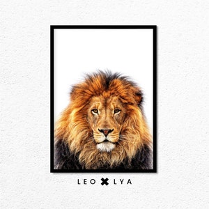 May include: A close-up portrait of a lion with a thick mane of brown and gold fur. The lion is looking directly at the camera with a serious expression. The background is white.