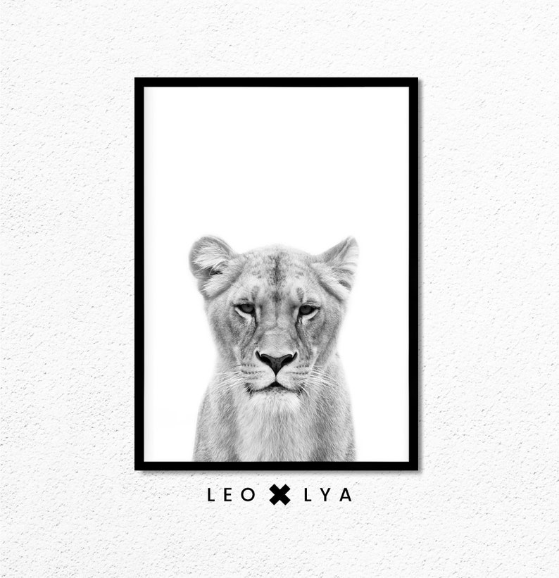 May include: Black and white photograph of a lioness's face. The image is framed in a black frame with the text "LEO x LY A" below the image.
