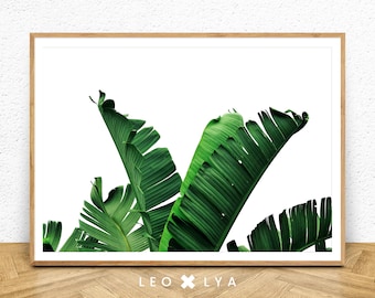 Tropical Leaf Print, Palm Leaf, Tropical Plant, Banana Leaf, Tropical Leaves, Green Leaf Print, Minimal Art, Tropical Art, Palm Tree Print