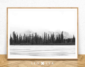 Black and White Forest Photography, Forest Printable Wall Art, Nature Print, Landscape Prints, Scandinavian Print Art, Forest Art Print