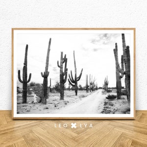 Schwarz-weißes Kaktusfoto, Pflanzenposter Digitaldruck, moderne Dekoration, minimalistisches Poster, Naturfoto, schwarz-weiß, Wandkunst
