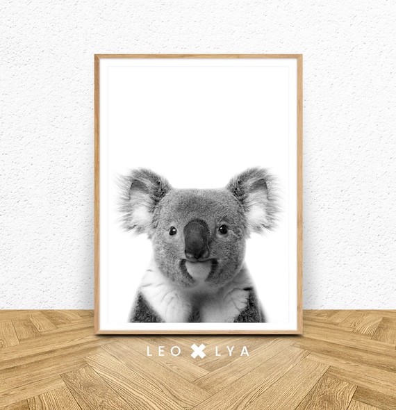 Poster Koala Noir et Blanc, décoration chambre bébé, photo koala, animal australie, cadeau naissance, tableau chambre bébé, impression photo