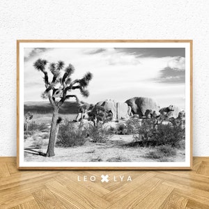 Schwarz-weißes Kaktusfoto, Arizona-Poster, Wüstenposter, moderne Dekoration, minimalistisches Poster, Naturfoto, schwarz-weiß, Wandkunst