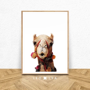 Camel Wall Art, Kids Room Decor, Digital Download, Kids Poster, Desert Animals Print, Nursery Animals, Camel Portrait Photography, Animals