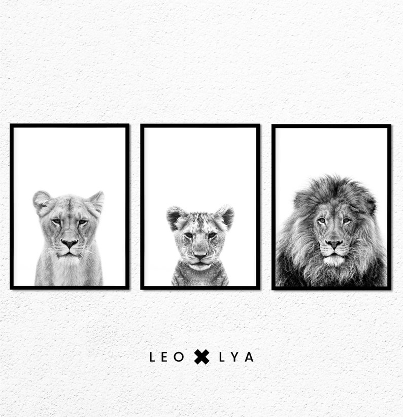 May include: Three black and white framed photographs of lions. The left photo shows a female lion, the middle photo shows a young lion, and the right photo shows a male lion with a full mane. The text "LEO x LY A" is printed below the photos.