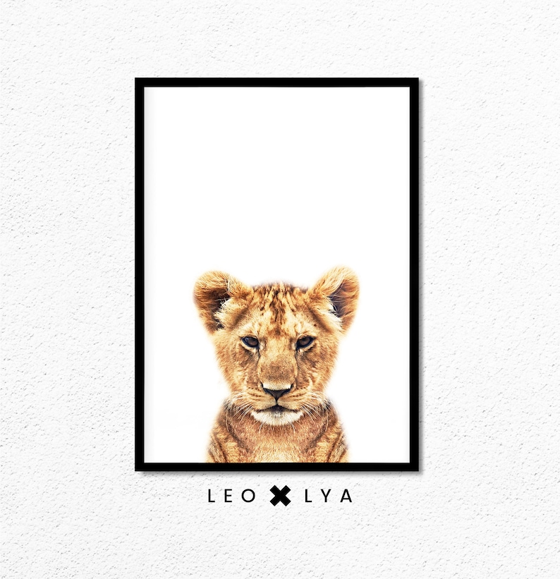 May include: A close-up portrait of a lion cub with a white background. The cub has a light brown coat and a serious expression. The text "LEO x LY A" is printed below the image.