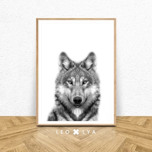 Könnte beinhalten: Schwarzweißfoto eines Wolfskopfes. Der Wolf schaut direkt in die Kamera. Das Bild ist in einem hellen Holzrahmen gerahmt. Der Text "LEO x LY A" ist unter dem Bild gedruckt.