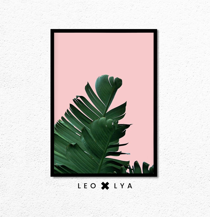 May include: A framed print with a pink background and a green banana leaf in the foreground. The print has the text "LEO x LY A" at the bottom.