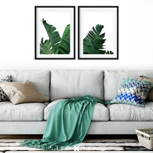 Puede incluir: Dos impresiones enmarcadas de hojas verdes de pl&aacute;tano sobre un fondo blanco. Las impresiones est&aacute;n colgadas en una pared blanca sobre un sof&aacute; gris claro con una manta verde y almohadas.