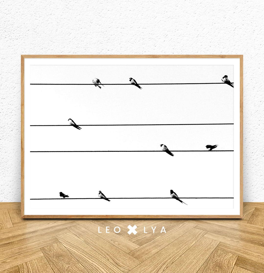 Bird Print, Bird Wall Art, Birds Printable Art, Minimal Wall Art, Black ...