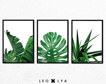 Foto de plantas tropicales, conjunto de 3 fotos, hojas verdes, decoración tropical moderna, pintura de naturaleza, póster de hojas tropicales
