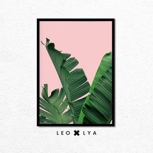 May include: A framed print with a pink background and a close-up of green banana leaves. The print has the text "LEO x LY A" at the bottom.