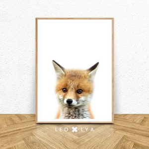 Poster Chambre Enfant Bebe Renard Photo Renardeau Etsy Poster Chambre Enfant Bebe Renard Photo Renardeau Etsy
