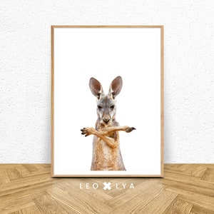 Kangaroo Print, Kangaroo Photo, Australian Wall Art, Australian Kangaroo Art, Australian Decor, Australian Animal Print, Colour Animal Print