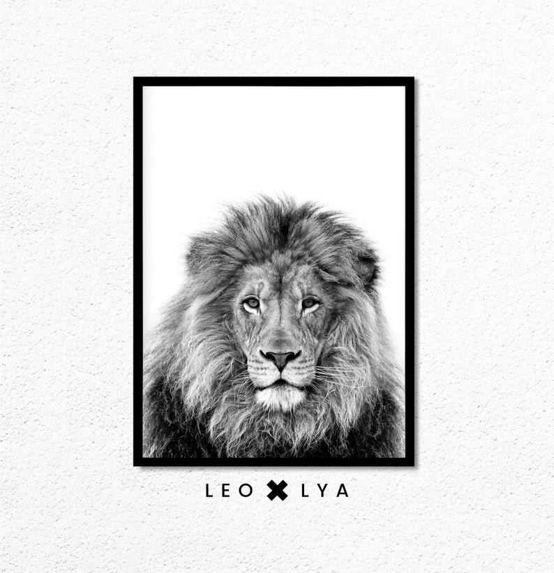 May include: Black and white photograph of a lion's face with a thick mane. The lion is looking directly at the camera. The image is framed in a black frame and has the text "LEO x LY A" below the image.