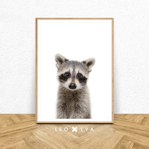 Woodland animals nursery printable art, raccoon print, raccoon wall art, nursery wall art, nursery decor, printable decor, INSTANT DOWNLOAD