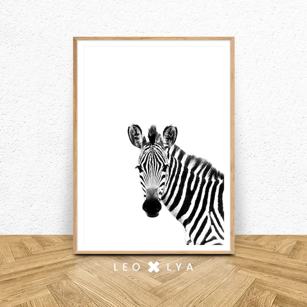 Zebra Print, Zebra Printable Art, Zebra Photography, Safari Nursery Art, Safari, African Animal Poster, Zebra Wall Art, Zebra Black White