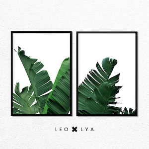 Tropical Decor Plant, Print Set of 2 Two, Botanical, Tropical Wall Art Decor, Printable Art, Sage Green, Plant Photography, Green Leaves