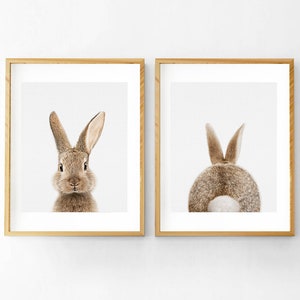 Decor kinderkamer, konijn en konijn staart print, babykamer kunstdecor, afdrukbare poster, konijn muurkunst, bosrijke kinderkamer, set van 2 prints