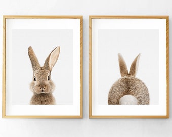 Nursery Decor, Rabbit and Rabbit Tail Print, Baby Room Art Decor, Printable Poster, Rabbit Wall Art, Woodland Nursery, Set of 2 Prints