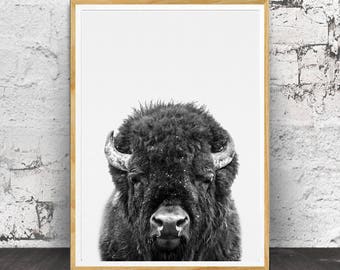 Bison Print, Buffalo Print, Bison Wall Art, Nursery Decor, Nursery Art, Nursery Wall Art,  Kids Room Decor, Bison Poster Art,  Buffalo Art