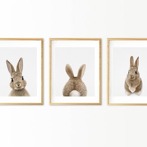 Kaninchen-Druck, Kinderzimmer Dekor, Kaninchenschwanz, Babyzimmer Kunst Dekor, druckbares Poster, Waldtiere, Häschen, Set von 3 Prints, digitaler Download