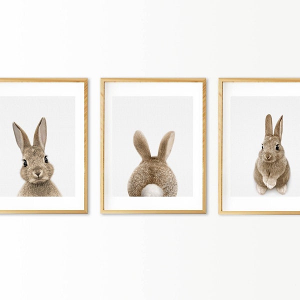Rabbit Print, Nursery Decor, Rabbit Tail, Baby Room Art Decor, Printable Poster, Woodland Animals, Bunny, Set of 3 Prints, Digital Download