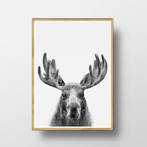 Moose Print, Boys Room Decor, Woodlands Nursery, Nursery Decor, Woodlands Printable,  Kids Wall Art, Black and White Poster, Forest Animal