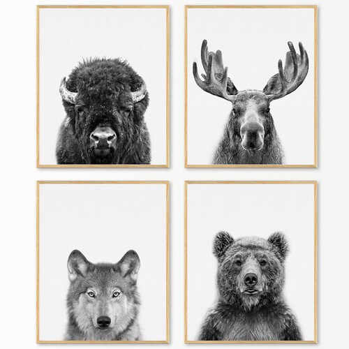 Moose Printable Art Moose Photography Black and White | Etsy