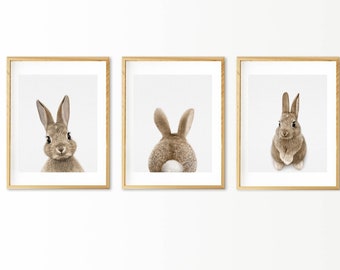 Estampa de coelho, decoração de berçário, rabo de coelho, decoração de arte para quarto de bebê, pôster para impressão, animais da floresta, coelho, conjunto de 3 estampas, download digital