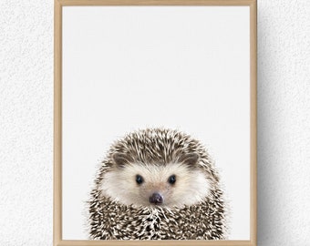 hedgehog nursery decor