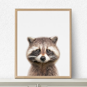 Racoon Print, Baby Animal Prints, Baby Decor, Baby Wall Art, Baby Room Decor, Animal Prints, Animal Art, Nursery Animal Print, Baby Animal