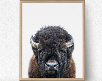 Bison Nursery Print, Buffalo Poster Art (Digital Download)