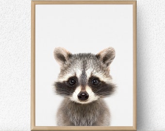 Raccoon Nursery Print, Baby Animal Art (Digital Download)